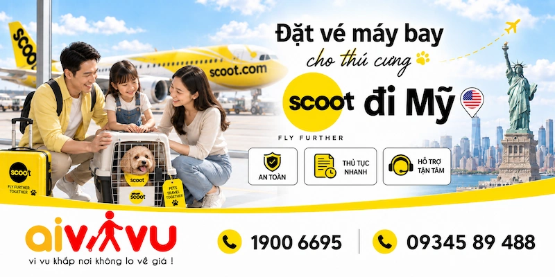 Đặt vé thú cưng Scoot đi Mỹ được không? Quy định cần biết