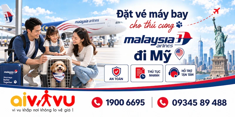 Vé thú cưng Malaysia Airlines đi Mỹ | Cách đặt & thủ tục