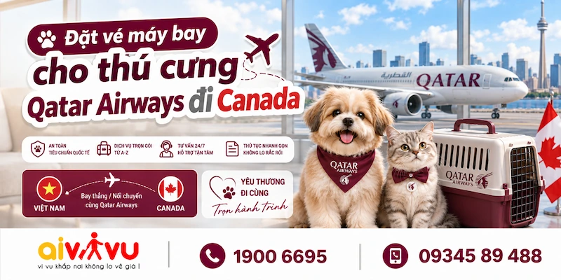 Vé cho thú cưng Qatar Airways đi Canada - Phí & quy định mới
