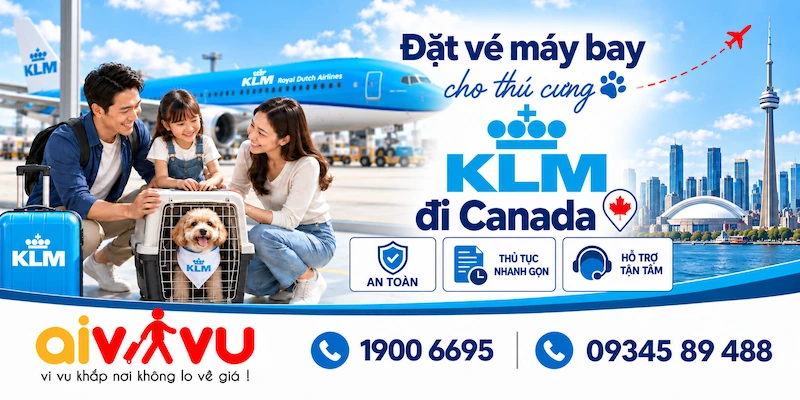 Mang thú cưng KLM đi Canada | Cabin, ký gửi & phí PET
