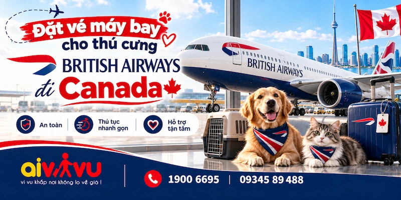 Mang thú cưng British Airways đi Canada | Cargo & thủ tục