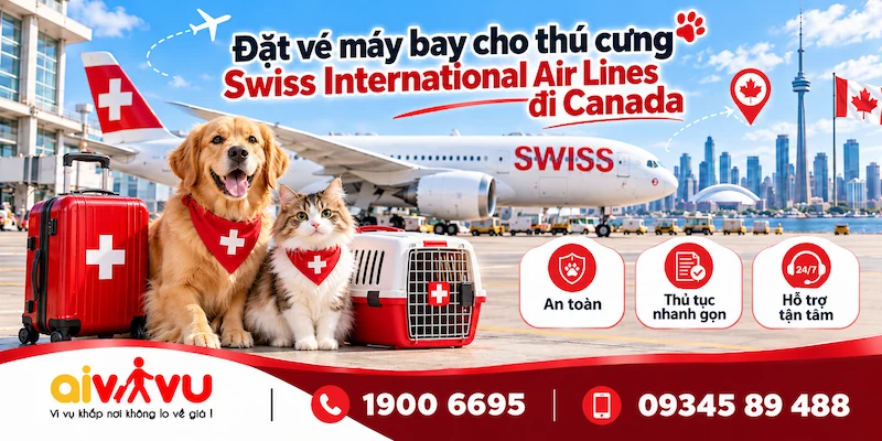 Vé thú cưng SWISS đi Canada | Cabin, AVIH & Zurich