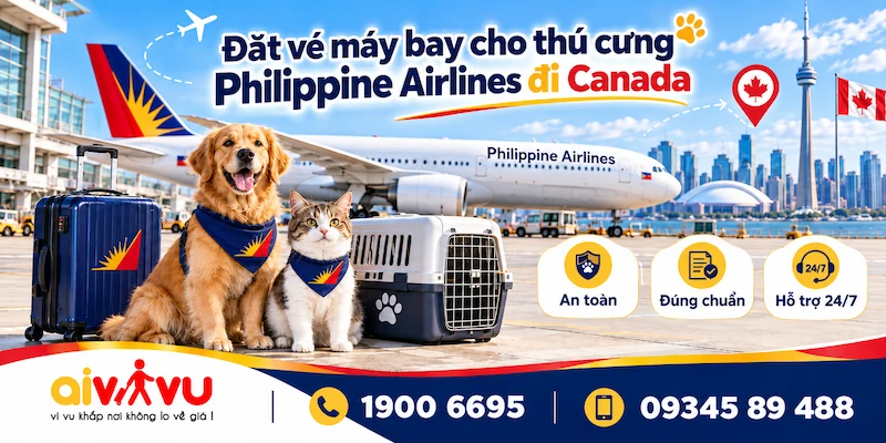 Cách mua vé thú cưng Philippine Airlines đi Canada