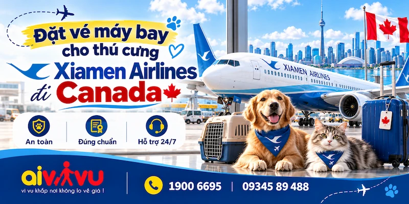 Kinh nghiệm mua vé thú cưng Xiamen Airlines đi Canada