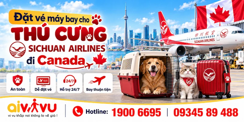 Thú cưng Sichuan Airlines đi Canada | PET ký gửi & transit