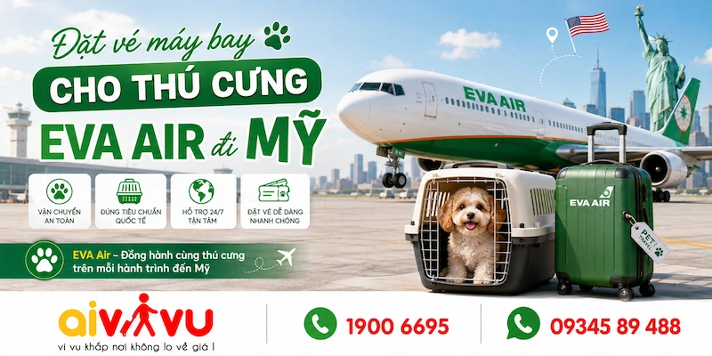 Đặt vé máy bay cho thú cưng EVA Air đi Mỹ | Aivivu