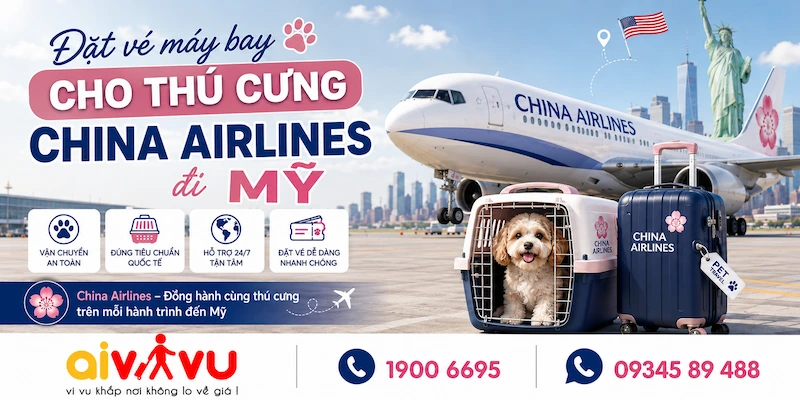 Săn vé máy bay cho thú cưng China Airlines đi Mỹ giá rẻ