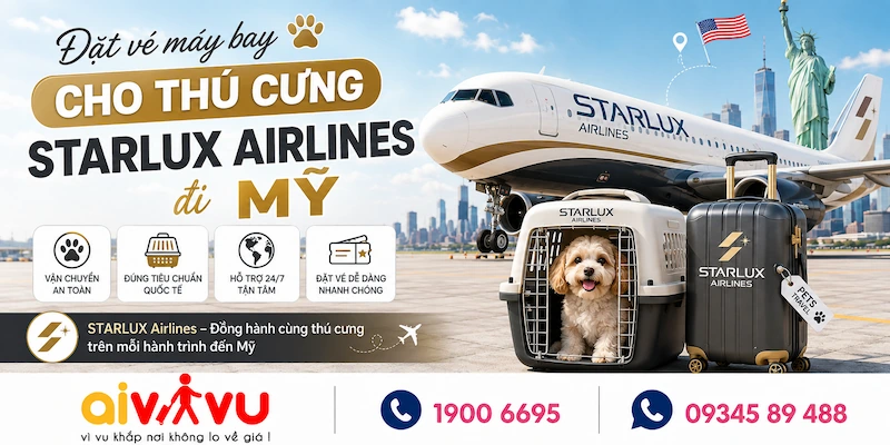 Đặt mua vé máy bay cho thú cưng STARLUX Airlines đi Mỹ