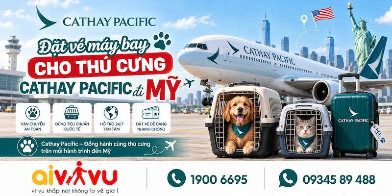 Săn vé máy bay cho thú cưng Cathay Pacific đi Mỹ