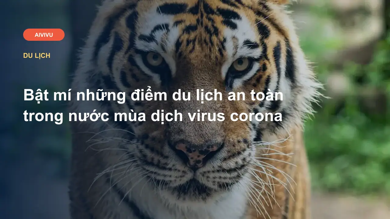 Bật mí những điểm du lịch an toàn trong nước mùa dịch virus corona