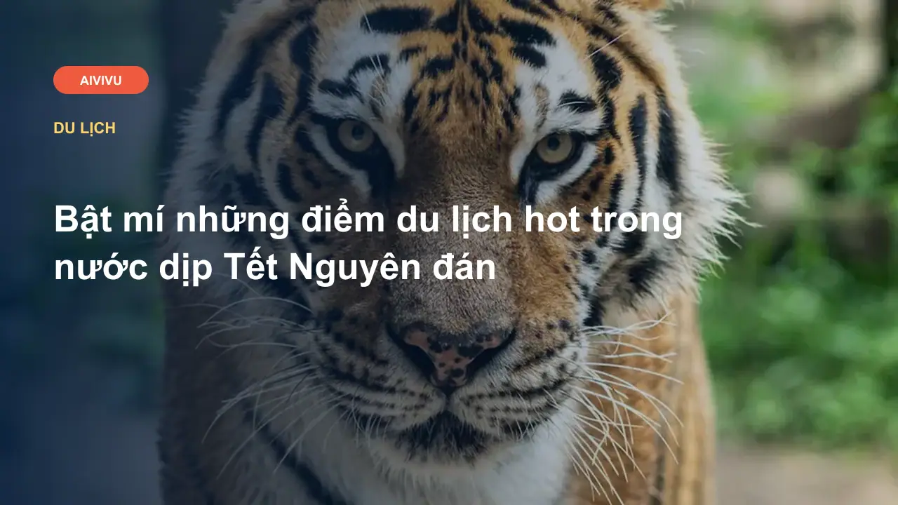 Bật mí những điểm du lịch hot trong nước dịp Tết Nguyên đán