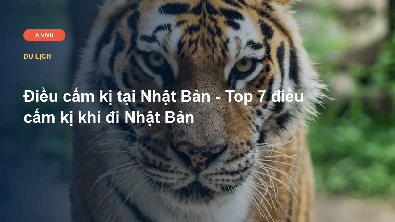 Điều cấm kị tại Nhật Bản - Top 7 điều cấm kị khi đi Nhật Bản