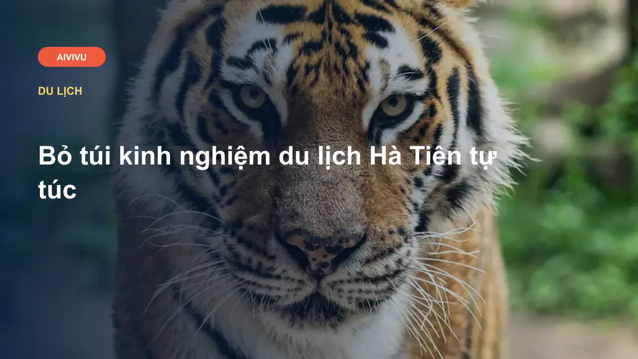 Bỏ túi kinh nghiệm du lịch Hà Tiên tự túc