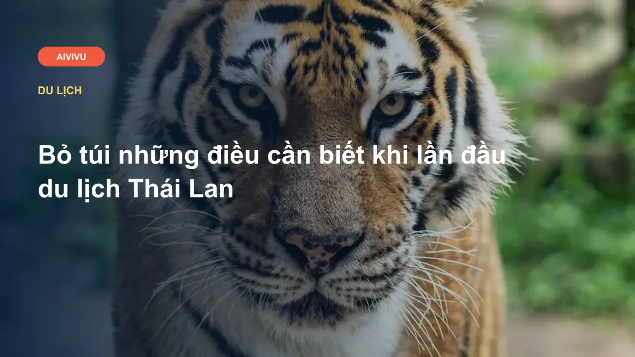 Bỏ túi những điều cần biết khi lần đầu du lịch Thái Lan