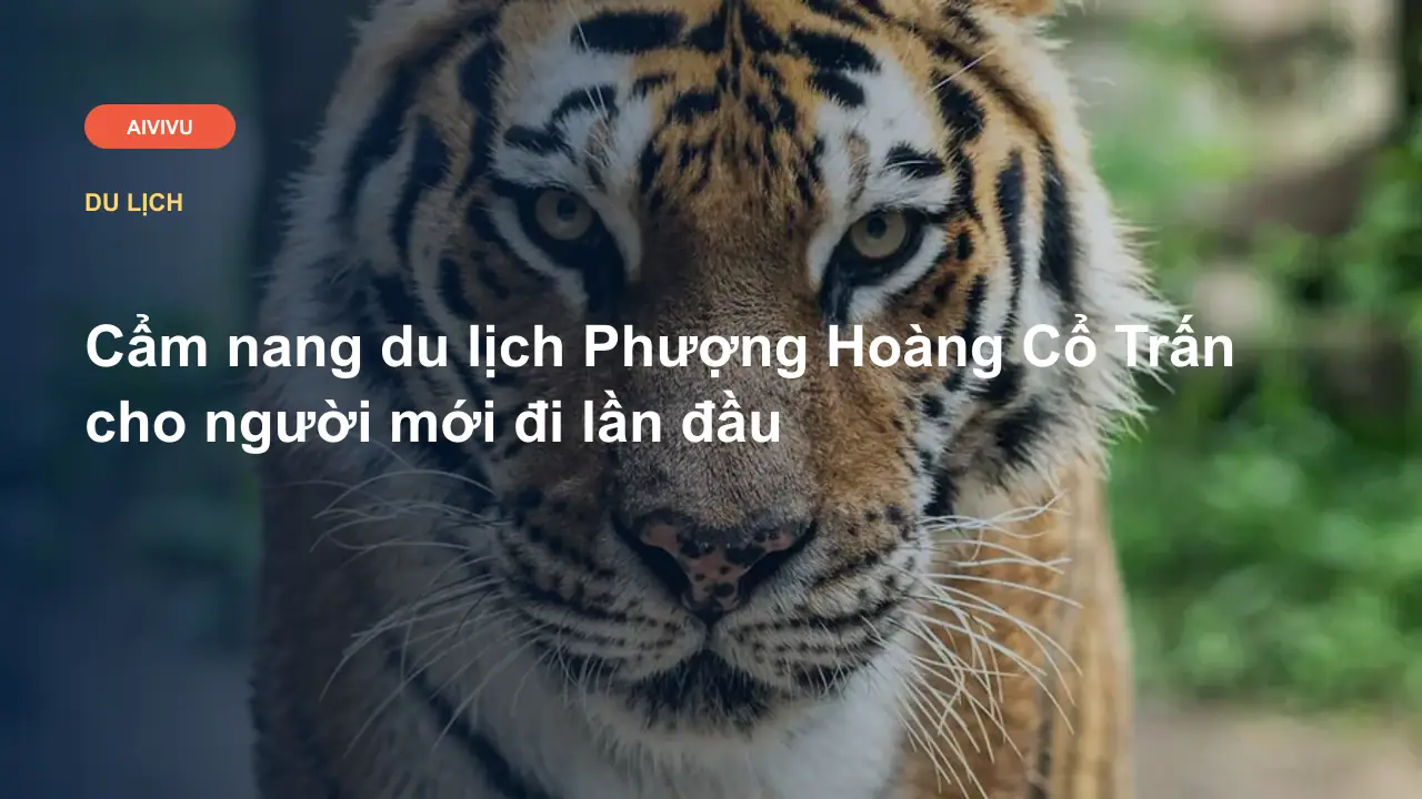 Cẩm nang du lịch Phượng Hoàng Cổ Trấn cho người mới đi lần đầu
