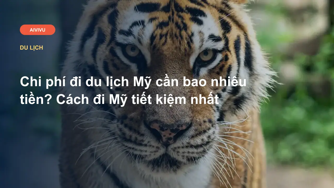 Chi phí đi du lịch Mỹ cần bao nhiêu tiền? Cách đi Mỹ tiết kiệm nhất