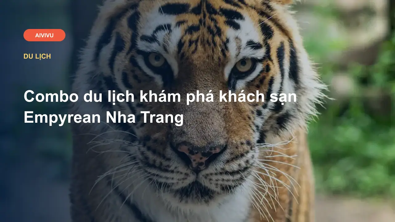 Combo du lịch khám phá khách sạn Empyrean Nha Trang