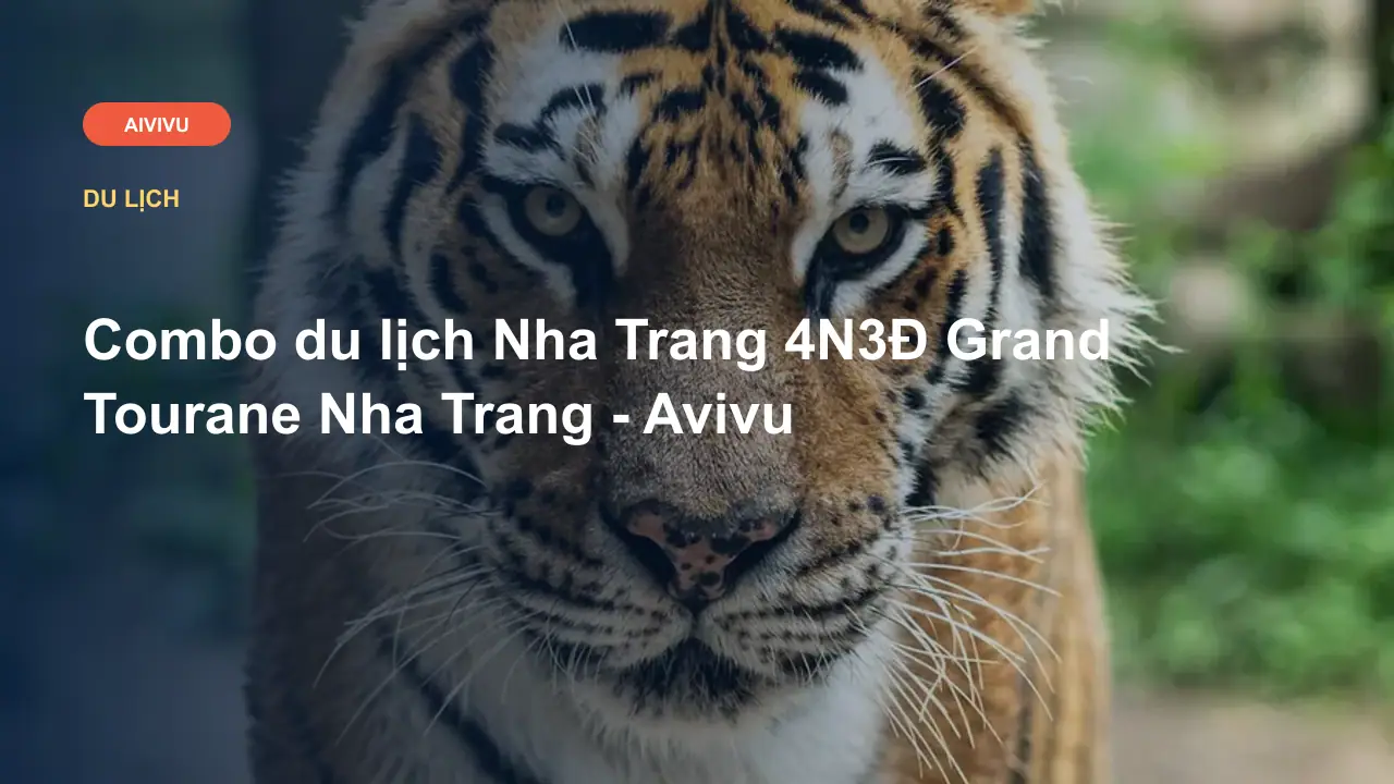 Combo du lịch Nha Trang 4N3Đ Grand Tourane Nha Trang - Avivu