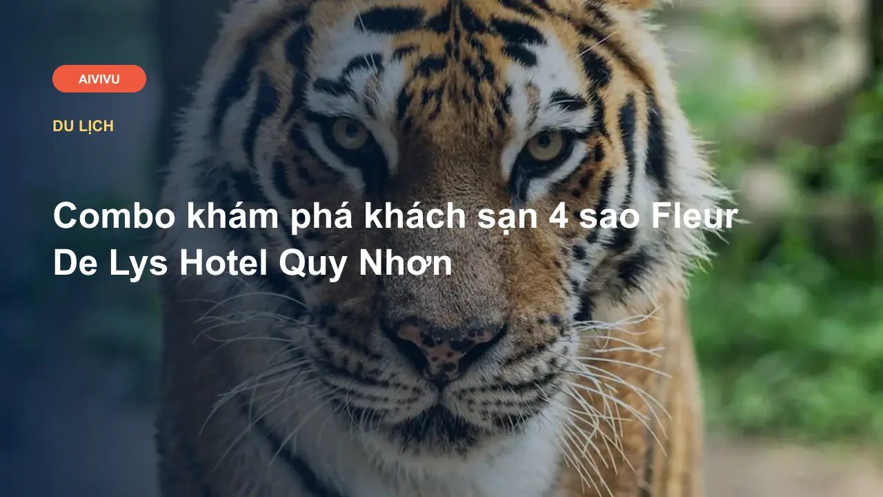 Combo khám phá khách sạn 4 sao Fleur De Lys Hotel Quy Nhơn