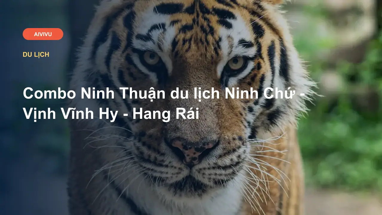 Combo Ninh Thuận du lịch Ninh Chứ - Vịnh Vĩnh Hy - Hang Rái