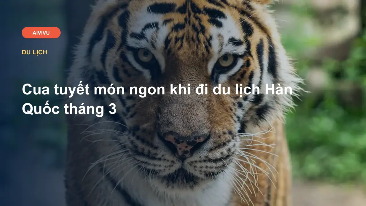 Cua tuyết món ngon khi đi du lịch Hàn Quốc tháng 3