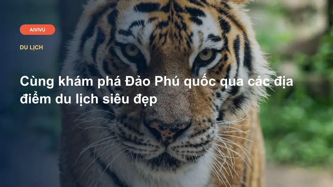 Cùng khám phá Đảo Phú quốc qua các địa điểm du lịch siêu đẹp