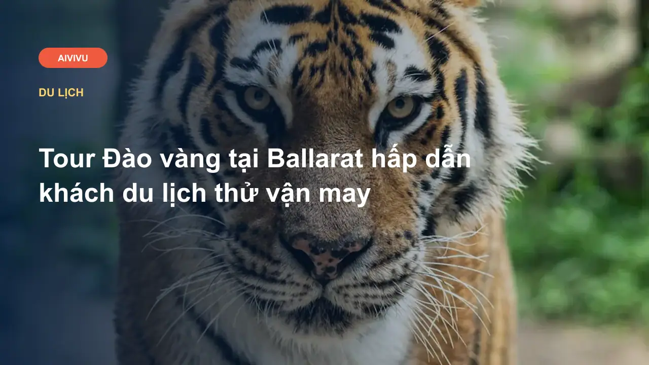 Tour Đào vàng tại Ballarat hấp dẫn khách du lịch thử vận may