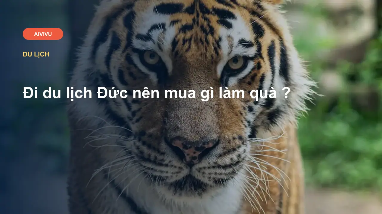 Đi du lịch Đức nên mua gì làm quà ?