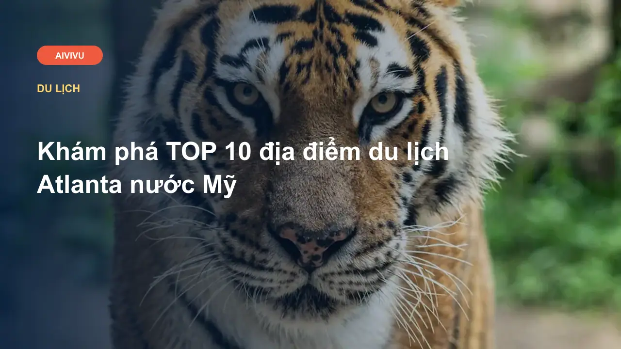 Khám phá TOP 10 địa điểm du lịch Atlanta nước Mỹ