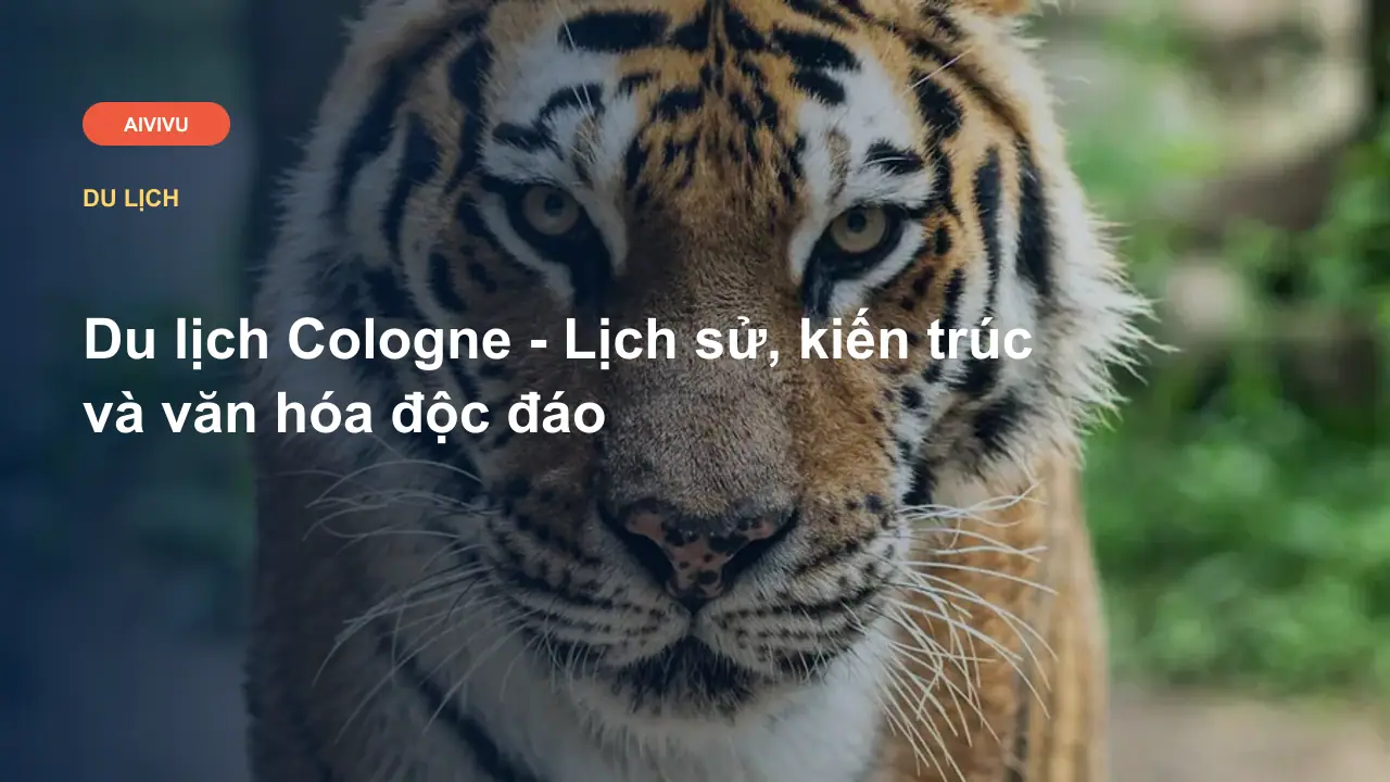 Du lịch Cologne - Lịch sử, kiến trúc và văn hóa độc đáo