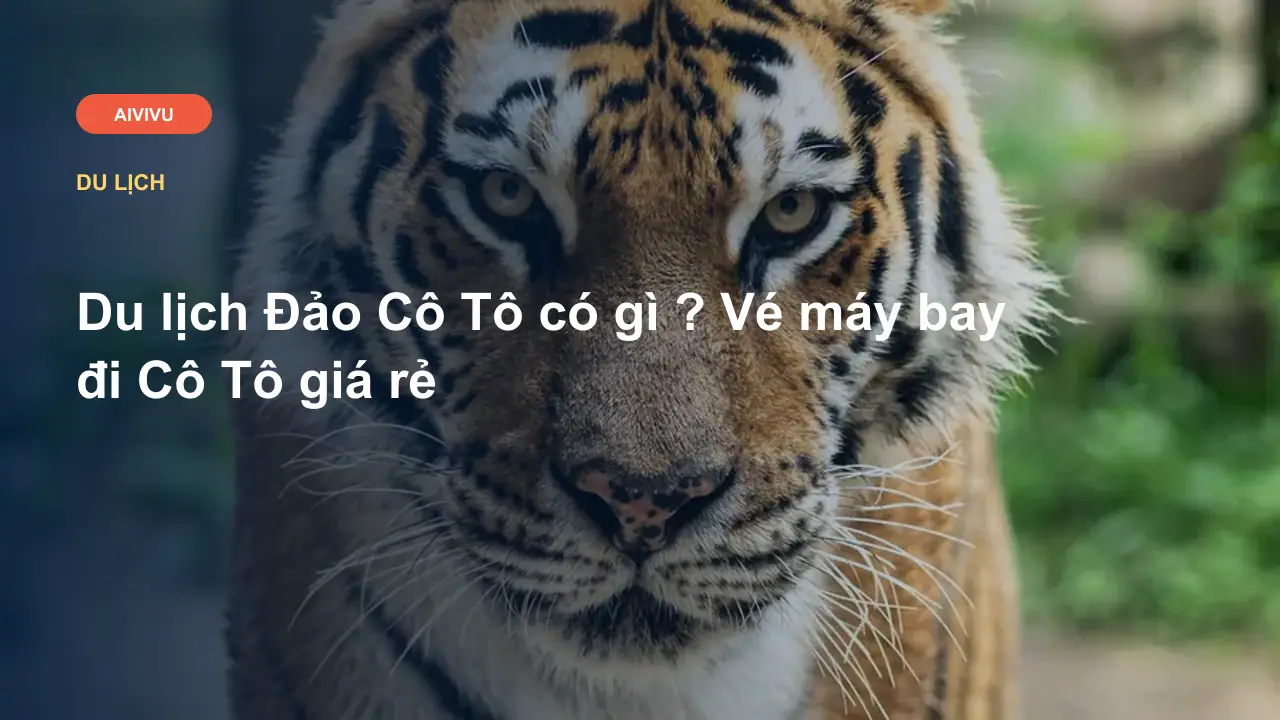 Du lịch Đảo Cô Tô có gì ? Vé máy bay đi Cô Tô giá rẻ