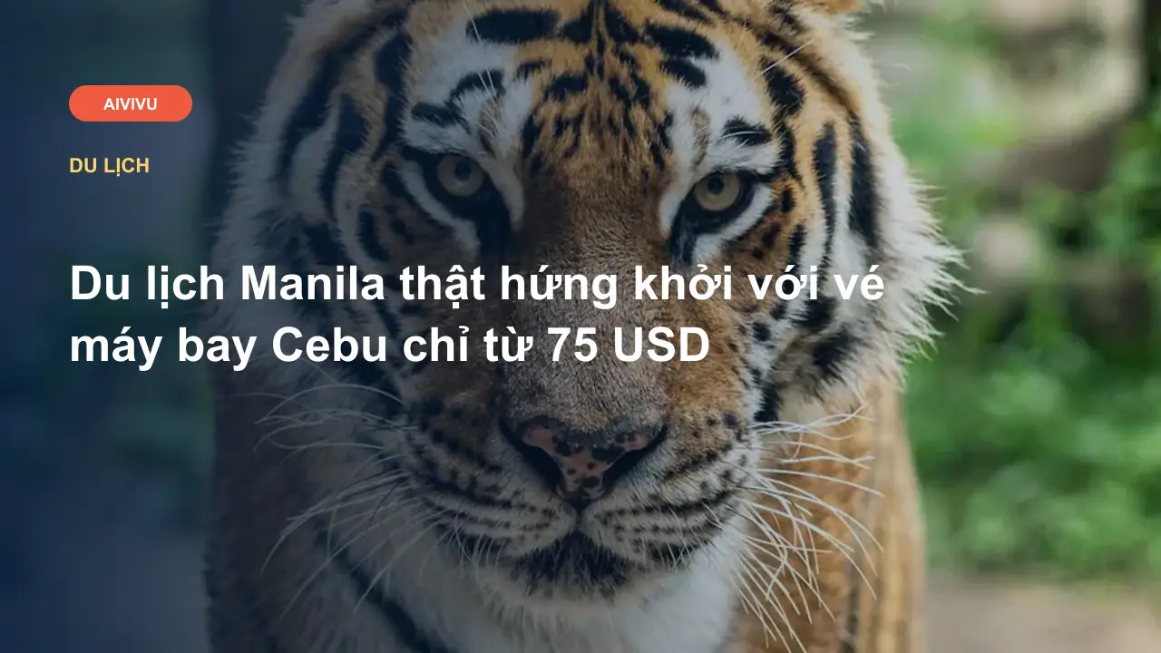 Du lịch Manila thật hứng khởi với vé máy bay Cebu chỉ từ 75 USD