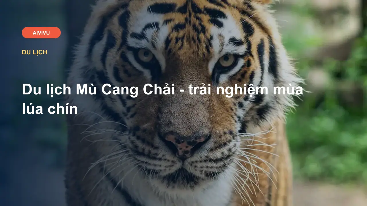 Du lịch Mù Cang Chải - trải nghiệm mùa lúa chín