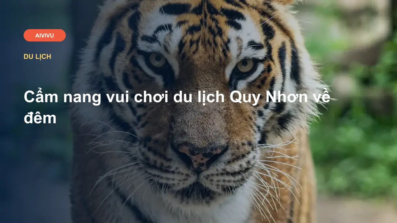 Cẩm nang vui chơi du lịch Quy Nhơn về đêm