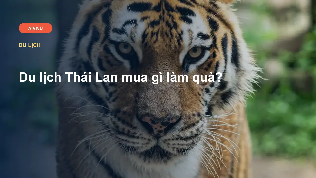 Du lịch Thái Lan mua gì làm quà?