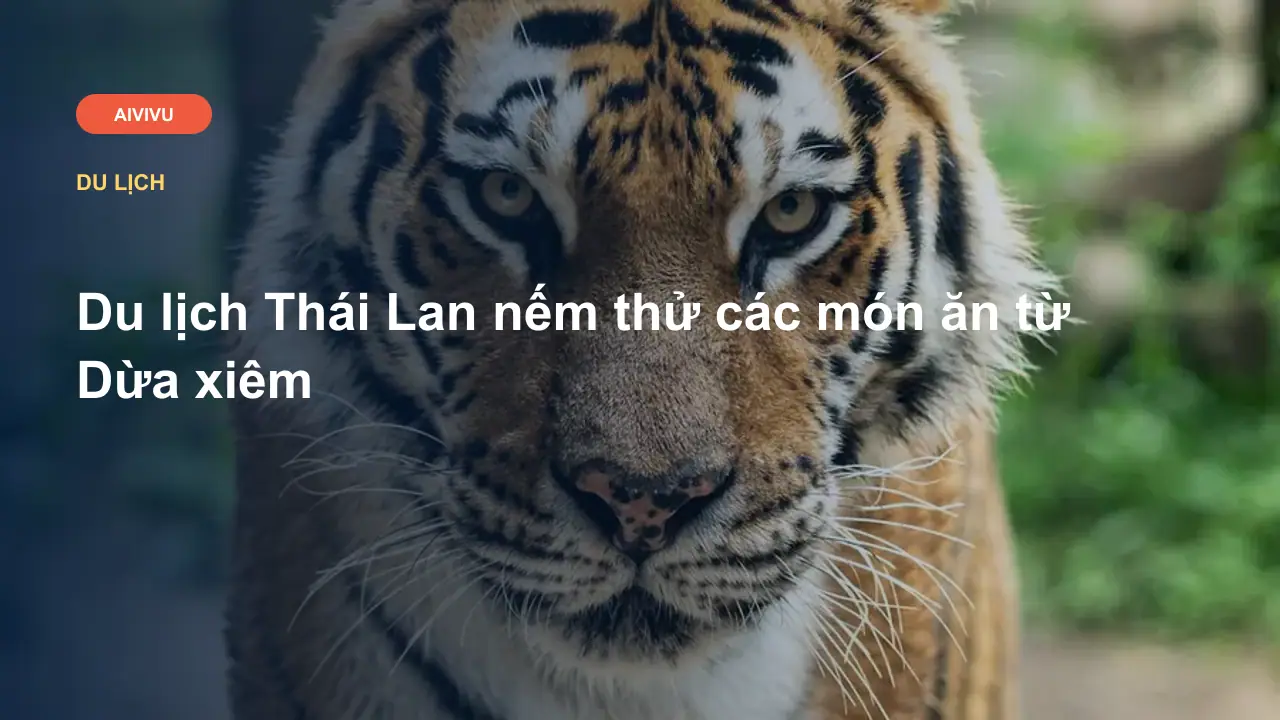 Du lịch Thái Lan nếm thử các món ăn từ Dừa xiêm