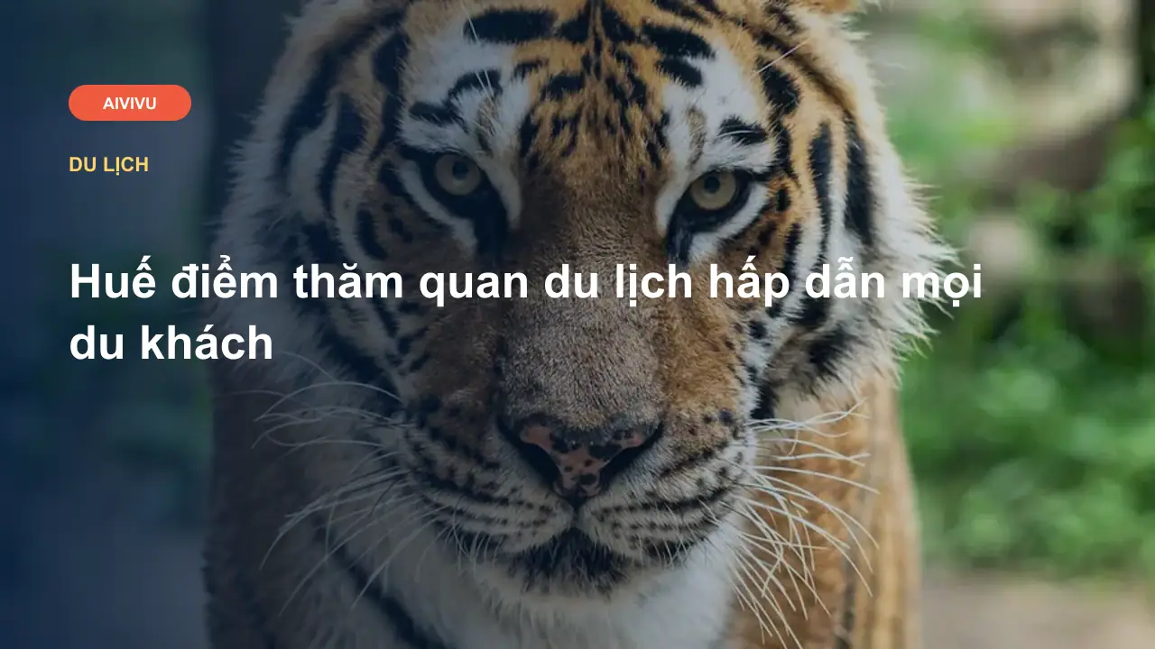 Huế điểm thăm quan du lịch hấp dẫn mọi du khách