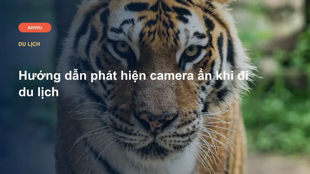 Hướng dẫn phát hiện camera ẩn khi đi du lịch