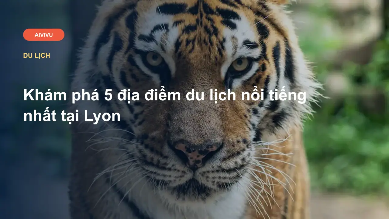 Khám phá 5 địa điểm du lịch nổi tiếng nhất tại Lyon
