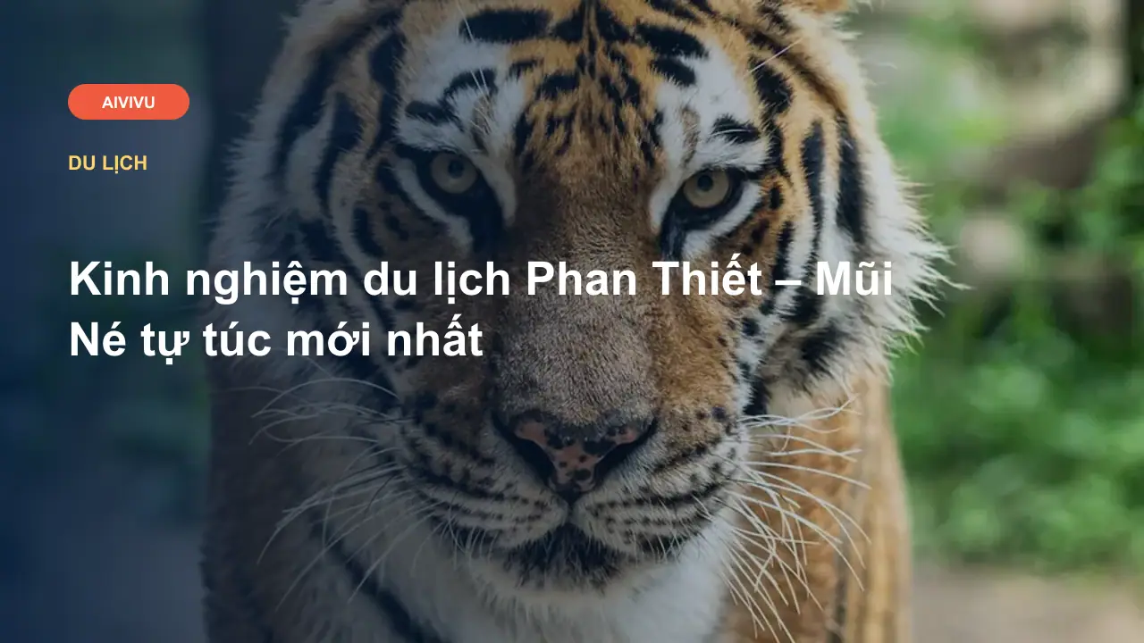 Kinh nghiệm du lịch Phan Thiết – Mũi Né tự túc mới nhất