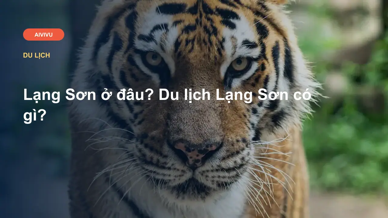 Lạng Sơn ở đâu? Du lịch Lạng Sơn có gì?