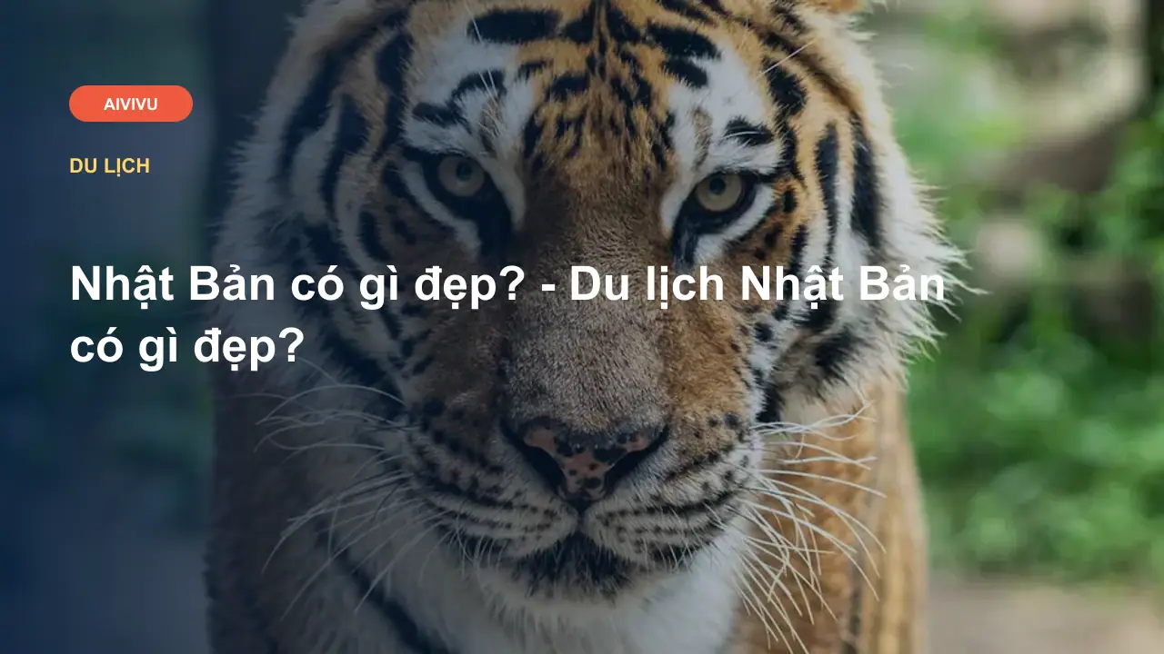 Nhật Bản có gì đẹp? - Du lịch Nhật Bản có gì đẹp?