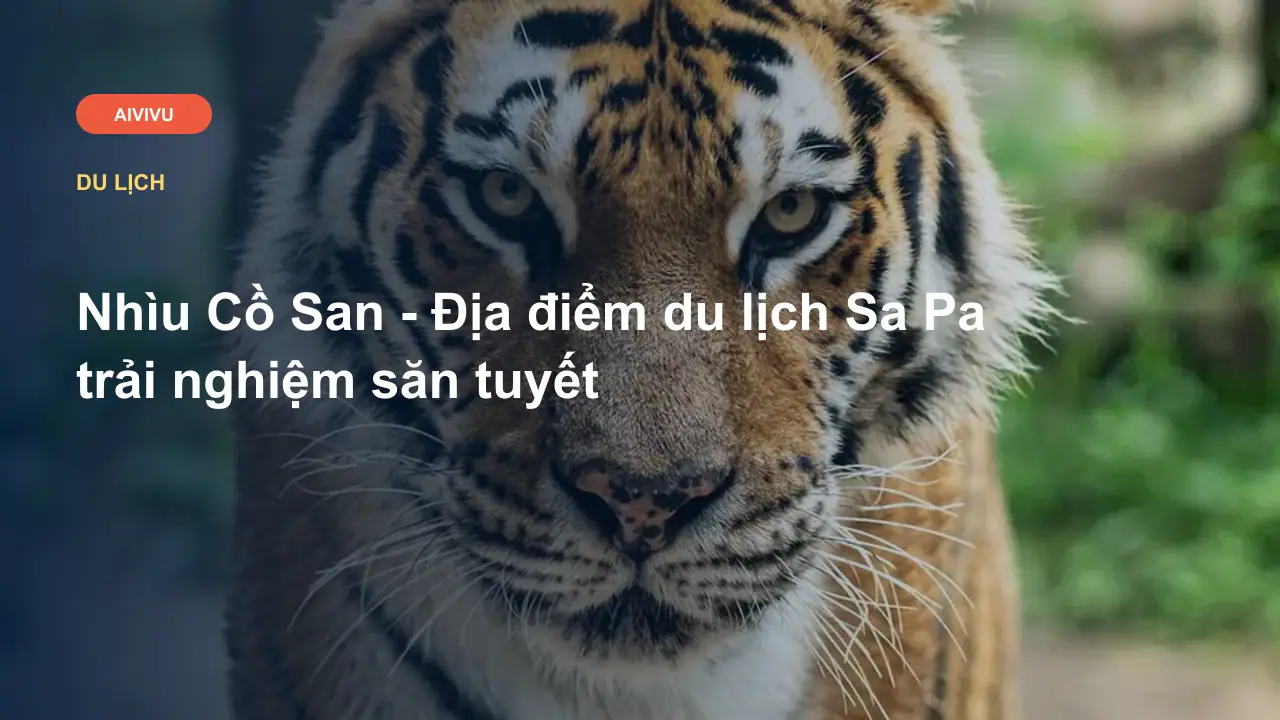 Nhìu Cồ San - Địa điểm du lịch Sa Pa trải nghiệm săn tuyết