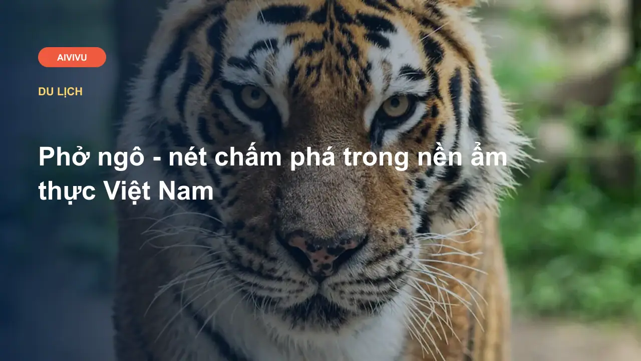 Phở ngô - nét chấm phá trong nền ẩm thực Việt Nam