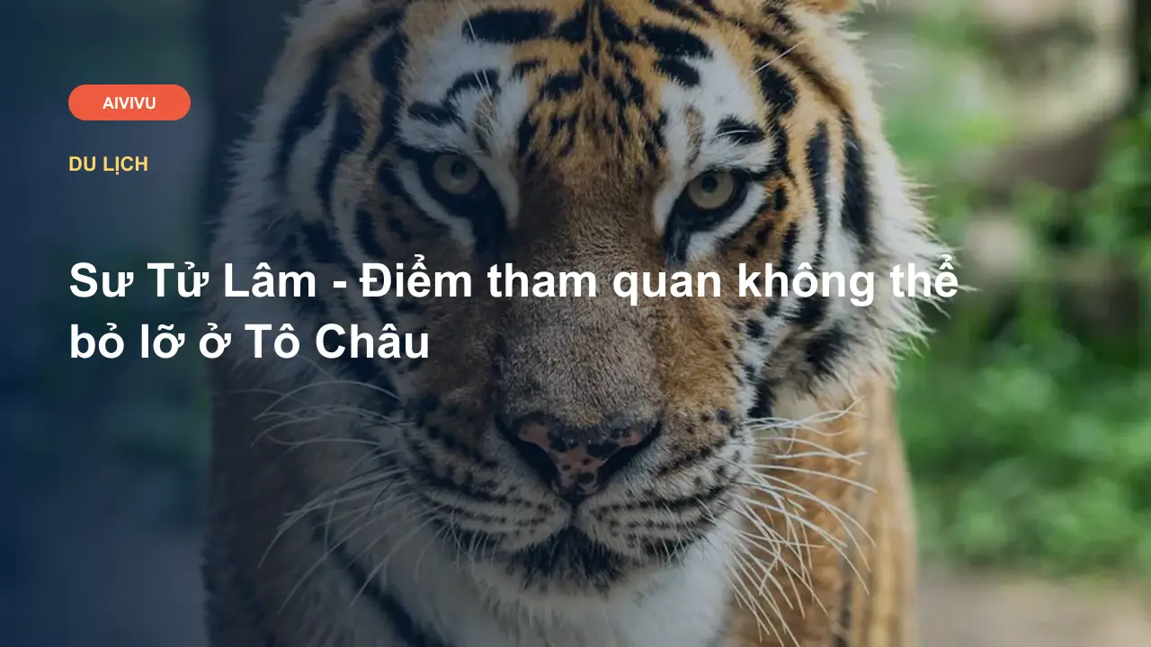 Sư Tử Lâm - Điểm tham quan không thể bỏ lỡ ở Tô Châu