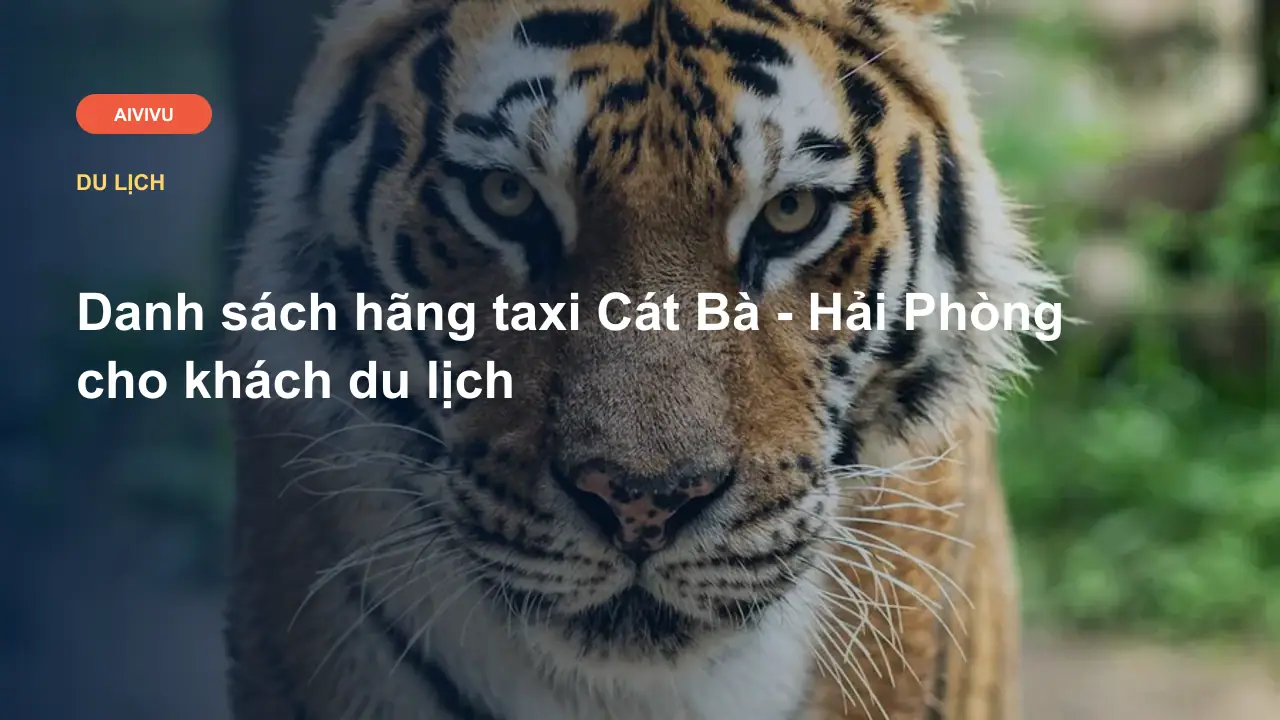 Danh sách hãng taxi Cát Bà - Hải Phòng cho khách du lịch