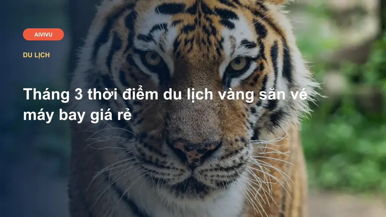 Tháng 3 thời điểm du lịch vàng săn vé máy bay giá rẻ