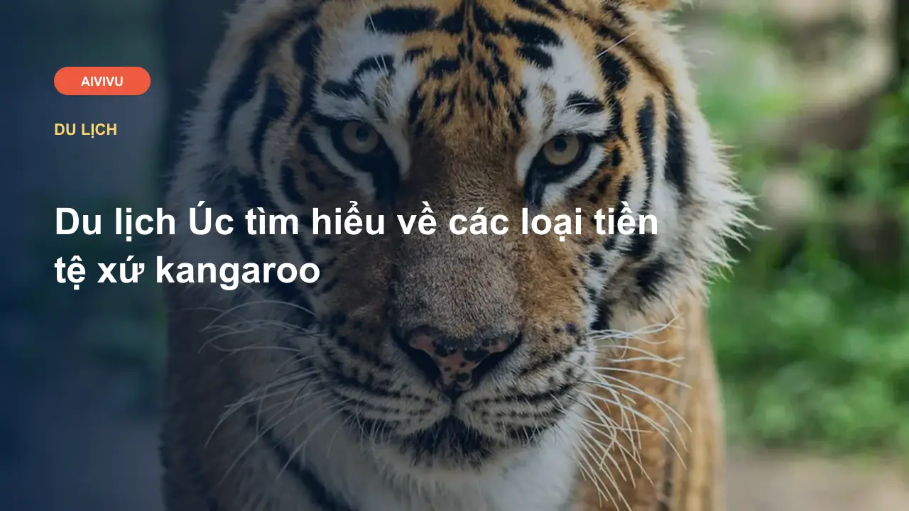 Du lịch Úc tìm hiểu về các loại tiền tệ xứ kangaroo