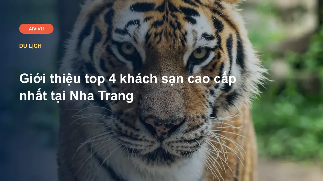 Giới thiệu top 4 khách sạn cao cấp nhất tại Nha Trang