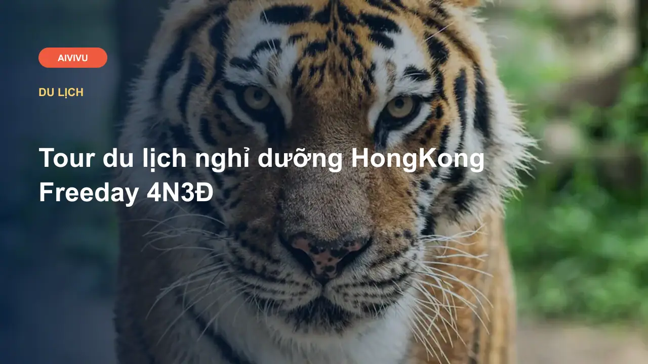 Tour du lịch nghỉ dưỡng HongKong Freeday 4N3Đ